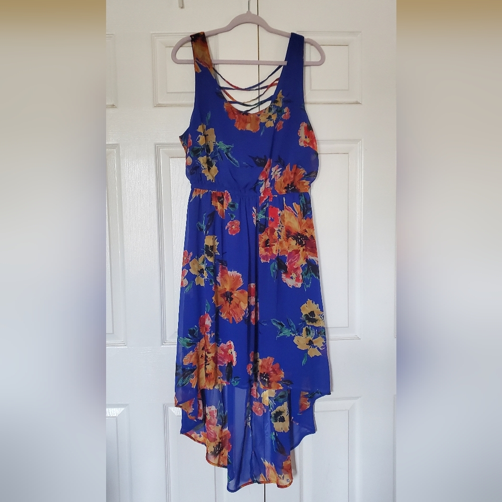 XL Blue Flowery Dress